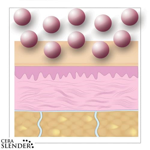 CERA SLENDER TAILLE XL