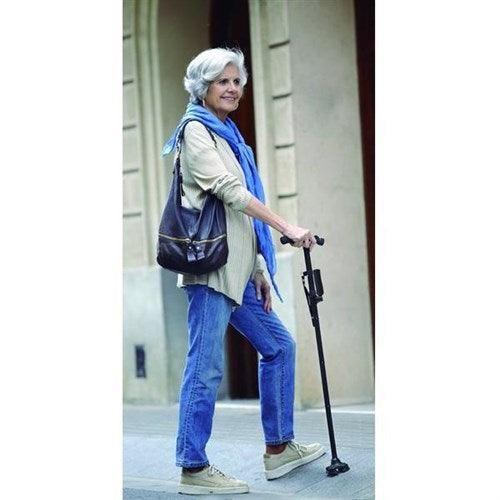 CANE SAFE PLUS 1+1 - belteleachat