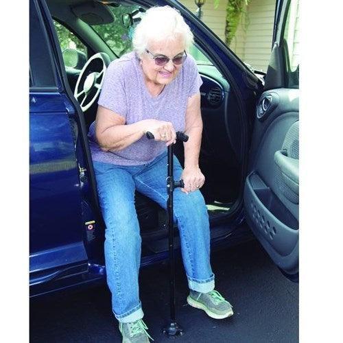 CANE SAFE PLUS 1+1 - belteleachat