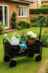 Star Cart