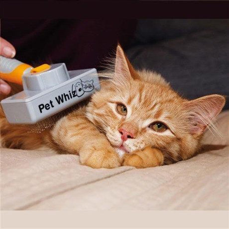 PET WHIZ - belteleachat