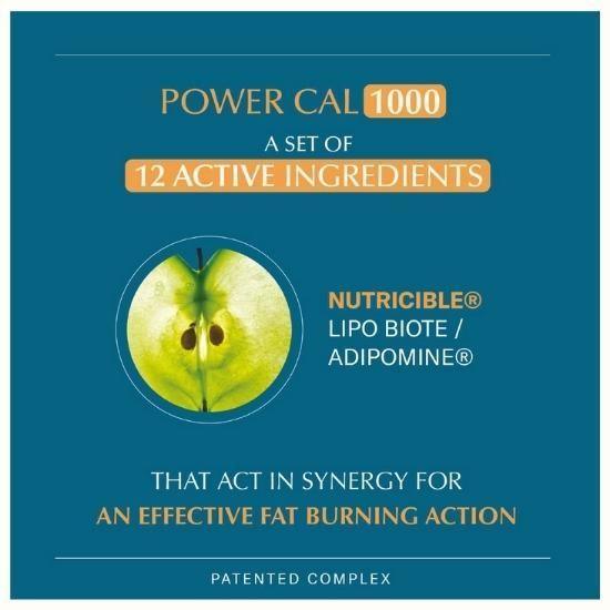 POWER CAL 1000 by Clemascience - belteleachat
